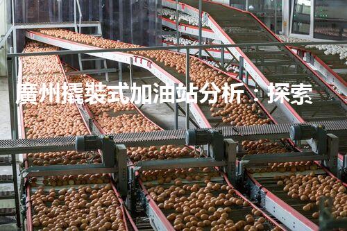 廣州撬裝式加油站分析：探索數(shù)據(jù)背后的秘密！
